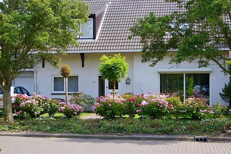 Charmantes Haus mit Garten, Bäumen und Blumen im Vorort.