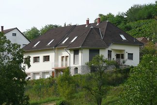 Villa Mecsek