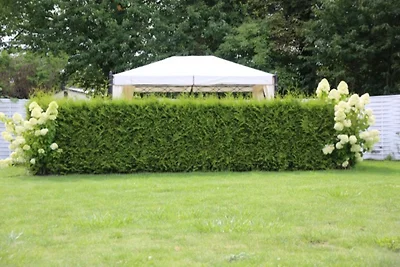 Ferienwohnungen Max und Moritz