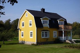 MA8 Åsnen Småland Boot