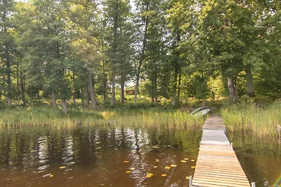 HE1 -Droomlocatie in het Zweedse bos
