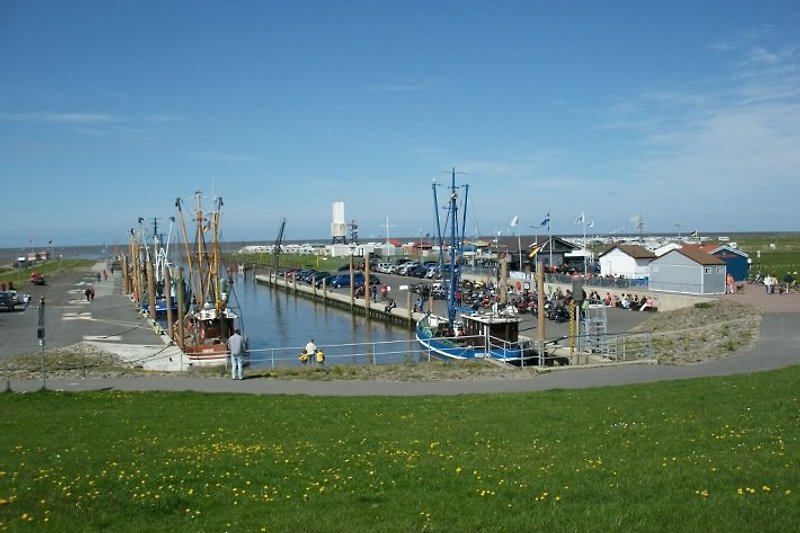 Dorumer Kutterhafen