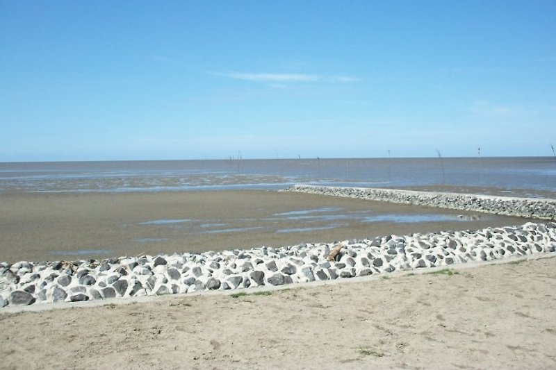 Our Wadden Sea