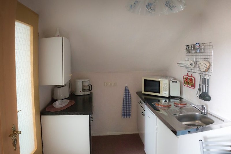 Küche (Kühlschrank, 2 Plattenherd, Microwelle, ...)