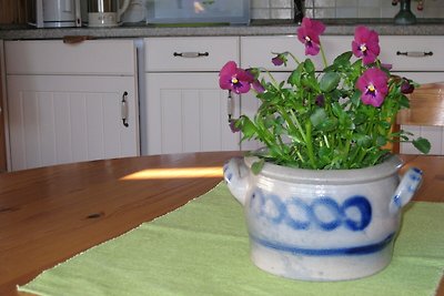 Ferienhaus-Kessner