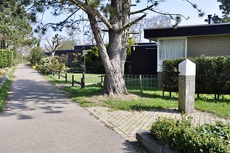 Wildrijk 122