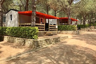 Domek letniskowy Urlop wypoczynkowy 