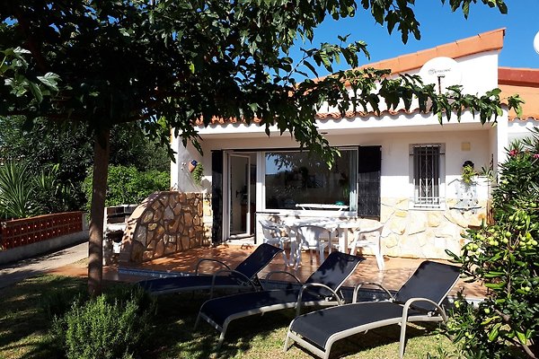 Ferienhaus Benicarlo