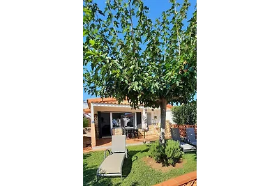 Traumhafte Lage direkt am Meer