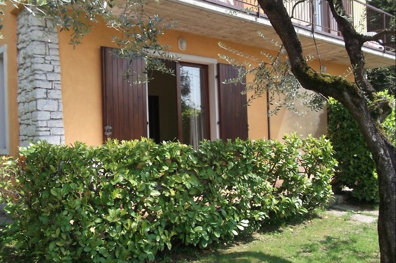 Villa Girasole  inmitten eines Olivenhains