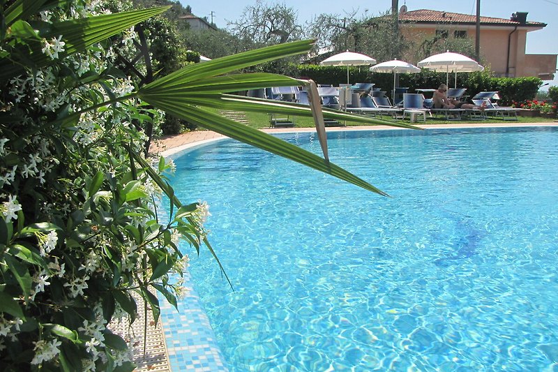 Schwimmbad, Sonnenliegen und Palmen am azurblauen Wasser.