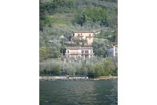 Villa Olivo ruhige Lage