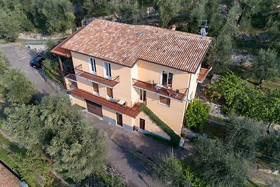 Villa Olivo posizione tranquilla