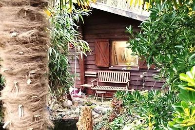 Vakantiehuis Ontspannende vakantie Planguenoual