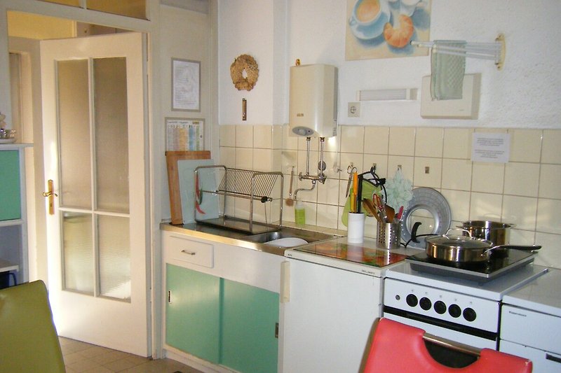 Küche mit Kühlschrank und Induktionsplatte, links der Zugang zu Bad und Garten