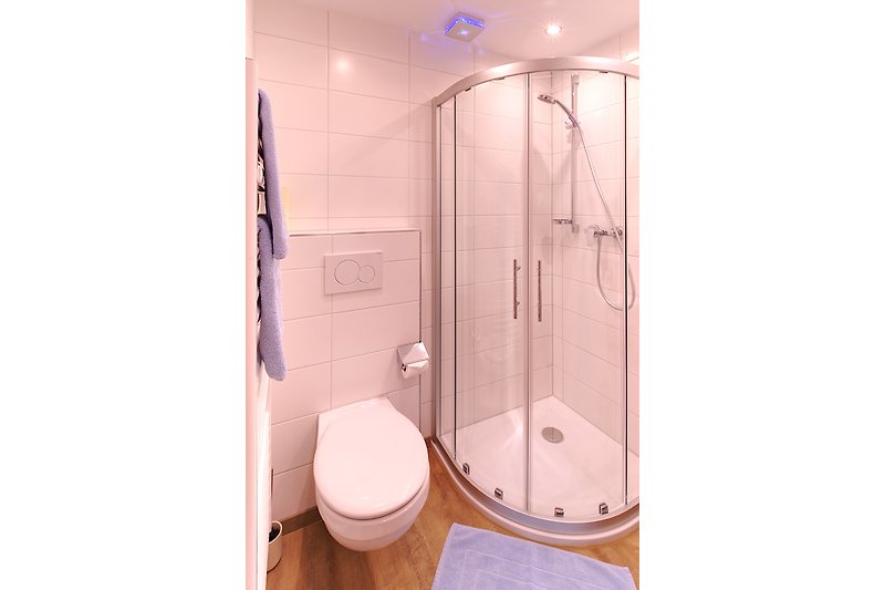 Modernes Badezimmer mit lila Duschkopf und Glasduschtür.