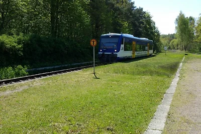 Bungalow 47 mitten im Grünen 