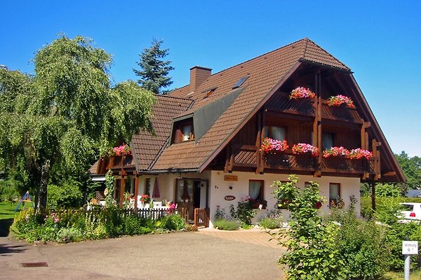 Ferienwohnung Hinterzarten