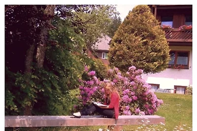Ferienhaus im Park****