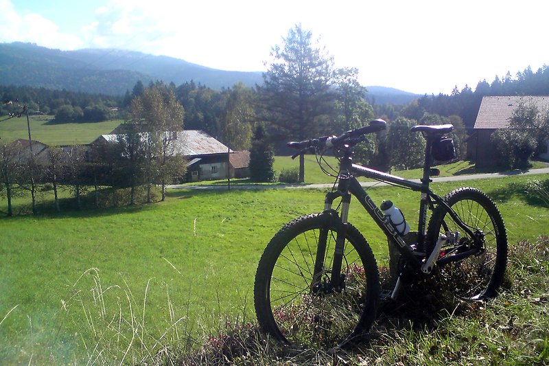 Fahrräder, Natur, Berge, Wiese - perfekt für Radtouren in der Natur!