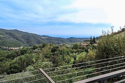 Casa Pino