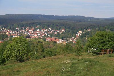 Fe.houses with Rennsteig view