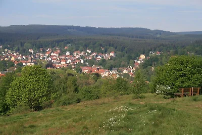 Fe.Häuser mit Rennsteigblick