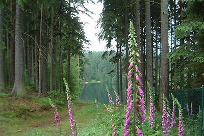 Fe.Häuser mit Rennsteigblick