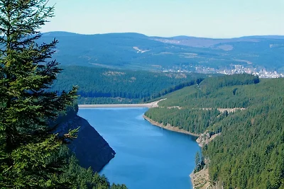 Fe.Häuser mit Rennsteigblick