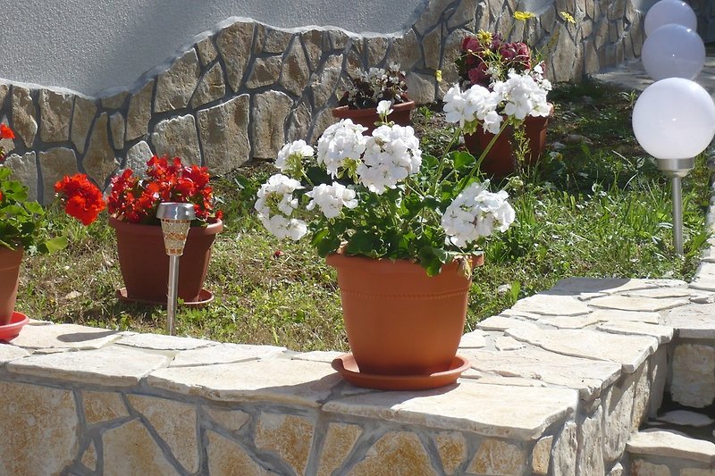Garten-Detail