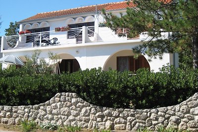 Villa- Apartments Zana ***