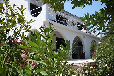 Villa- Apartments Zana ***