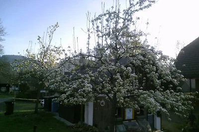 Ferienhaus Wannenhof Bernau
