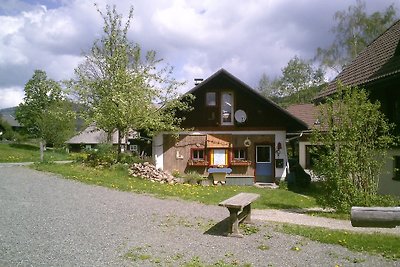 Ferienhaus Wannenhof