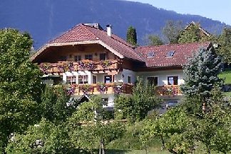 Salzkammergut Wolfgangsee