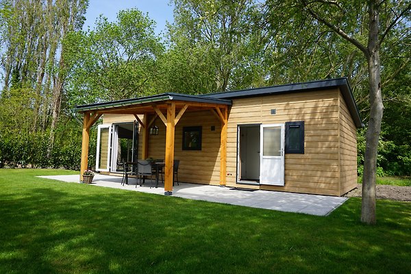 Ferienhaus Noordwelle