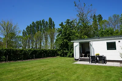 Dünenchalet Hofstede Welland 