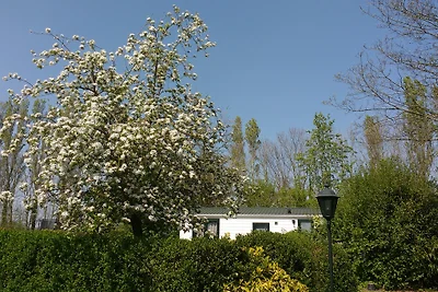 Dünenchalet Hofstede Welland 