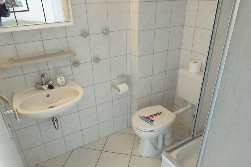 Łazienka z prysznicem, toaletą i umywalką