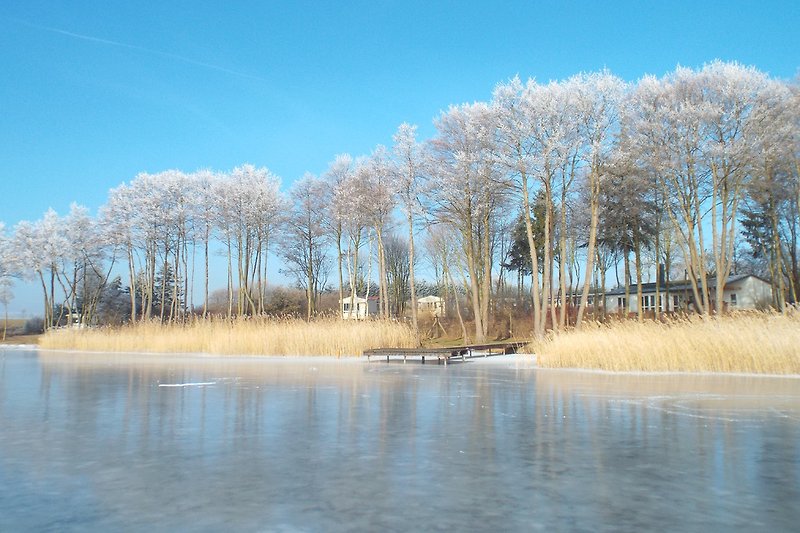 Winter am Holzendorfer See