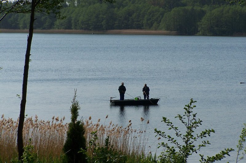 Angeln am und auf dem Holzendorfer See