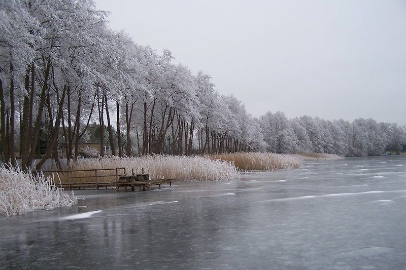 Winteridylle am Holzendorfer See