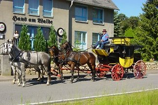 Gruppen-Ferien-Haus-Borkow-am-Walde