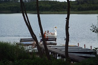 Ferienhaus im Park direkt am See