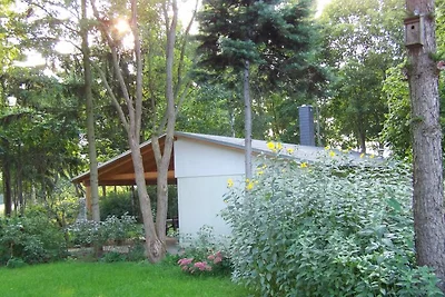 Bungalow direkt am See (ebenerdig)