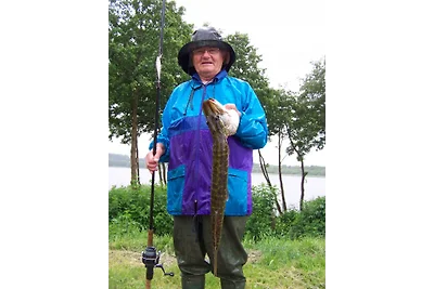 Bungalow direttamente sul lago balneabile e di pesca