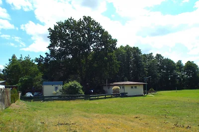 Bungalow unter Eiche direkt am See