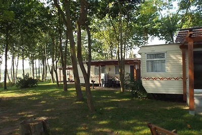 Ferienhaus -Mobilheim direkt am See