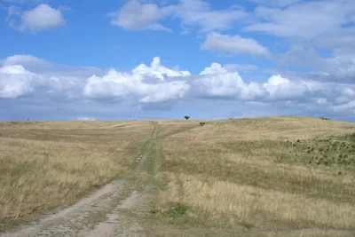 Reetdachhaus nahe Strand & Natur