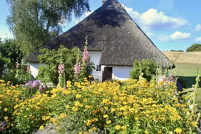 Ferienhaus am Meer inkl. 100 MBits